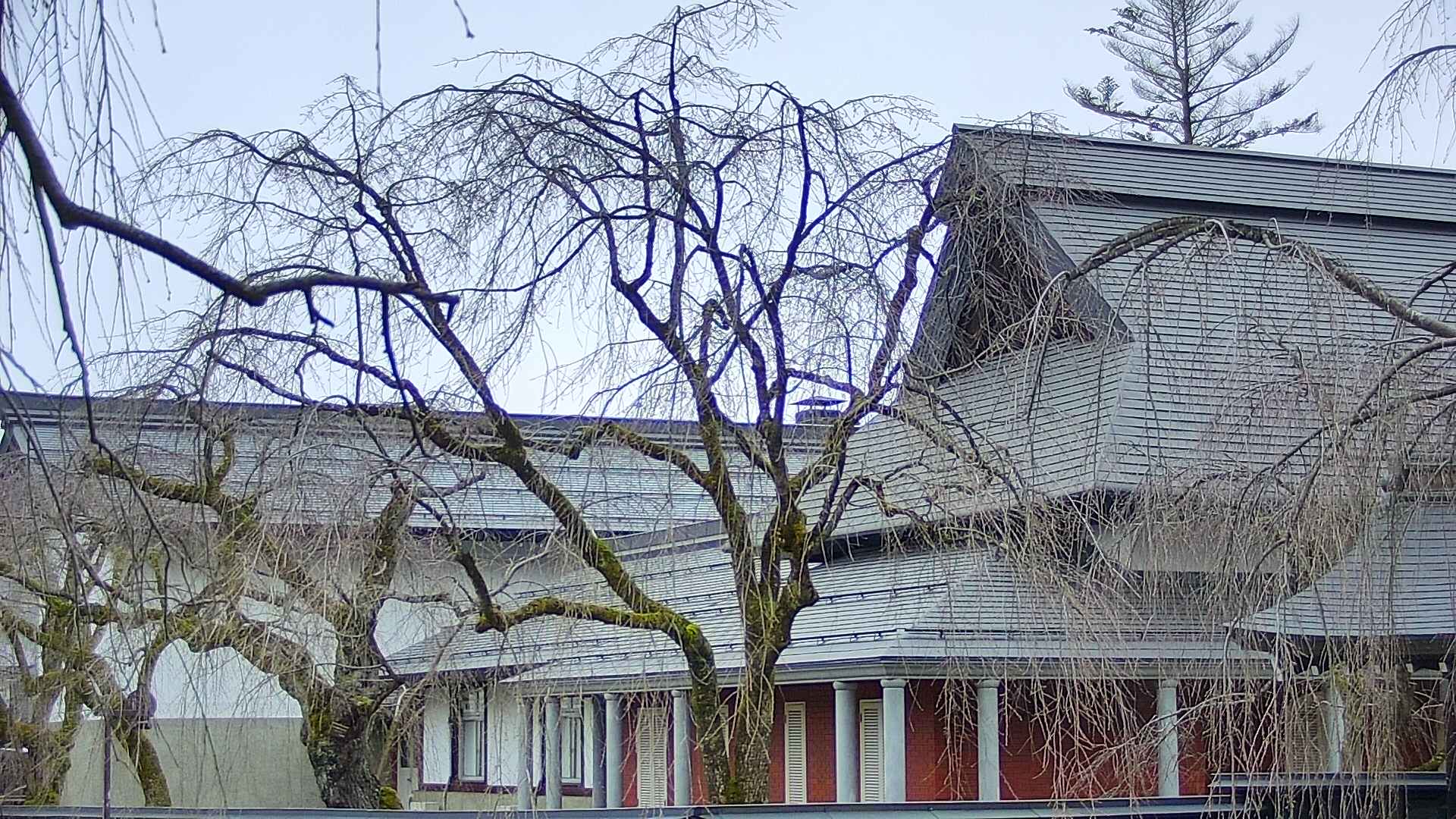 area2-20250412074105.jpg