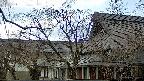area2-20250412151105.jpg