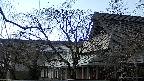 area2-20250412154107.jpg