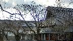area2-20250412162106.jpg
