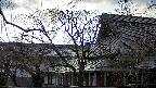 area2-20250412164106.jpg