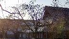 area2-20250412171107.jpg