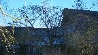 area2-20250412184105.jpg
