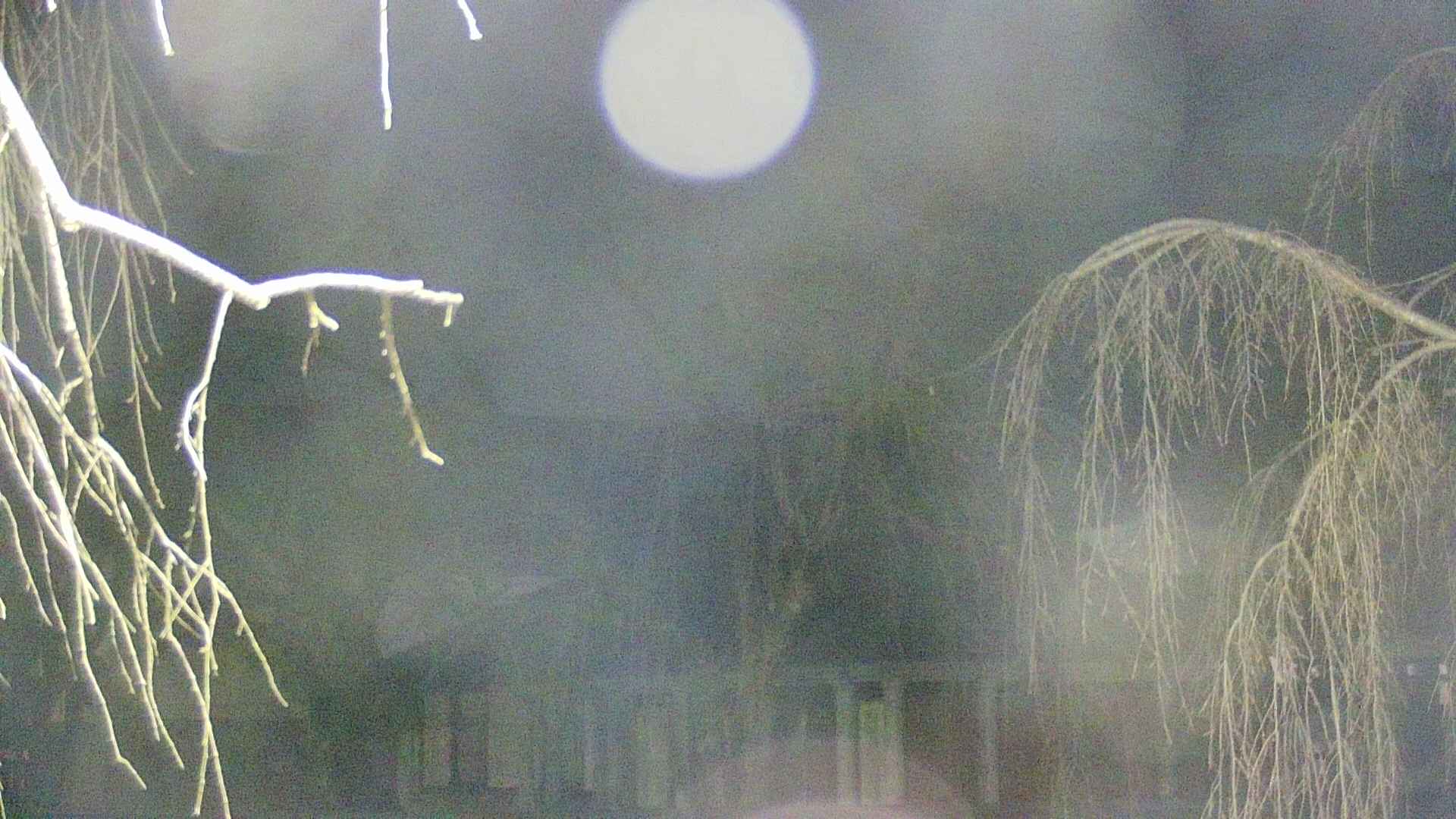 area2-20250412192106.jpg