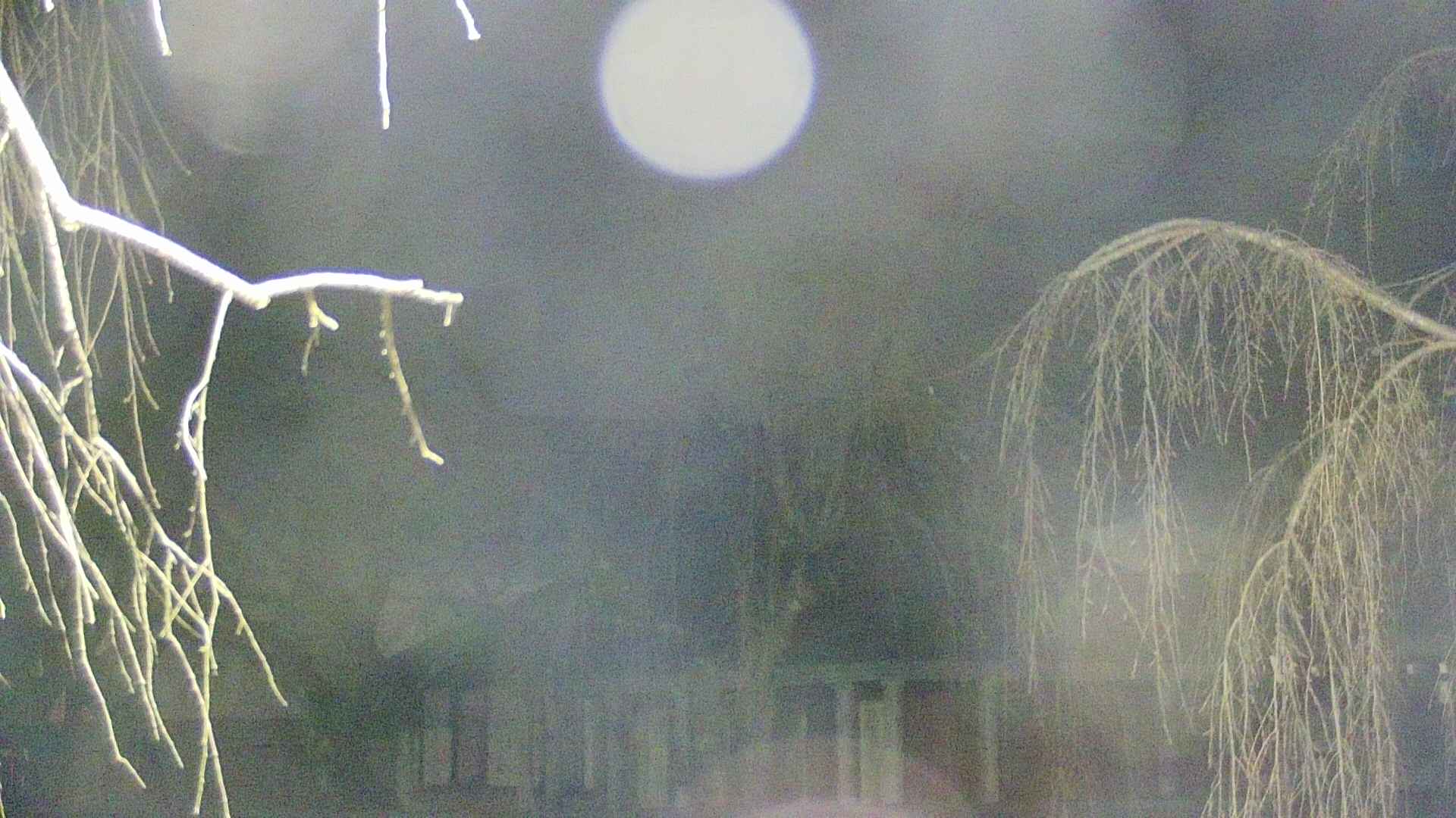area2-20250412193106.jpg