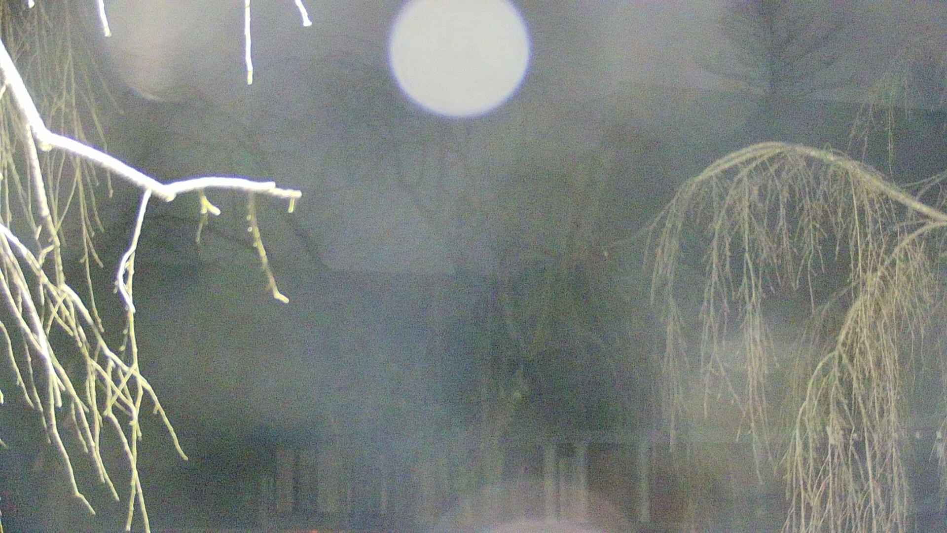 area2-20250413023106.jpg