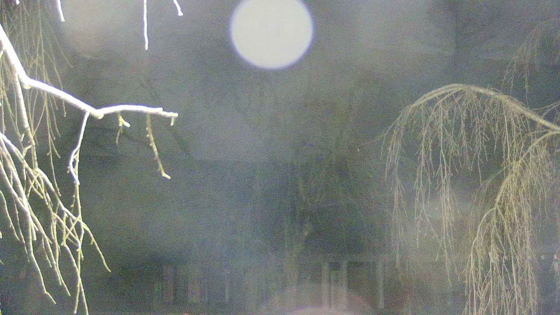 area2-20250413025107.jpg
