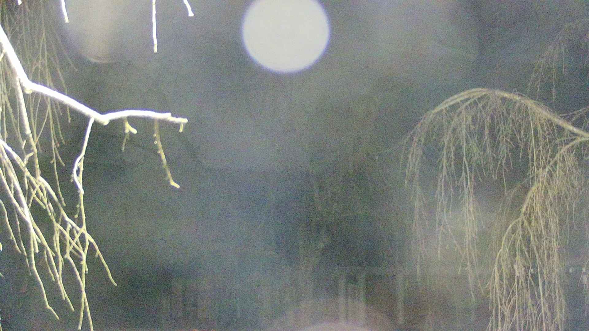 area2-20250413033107.jpg