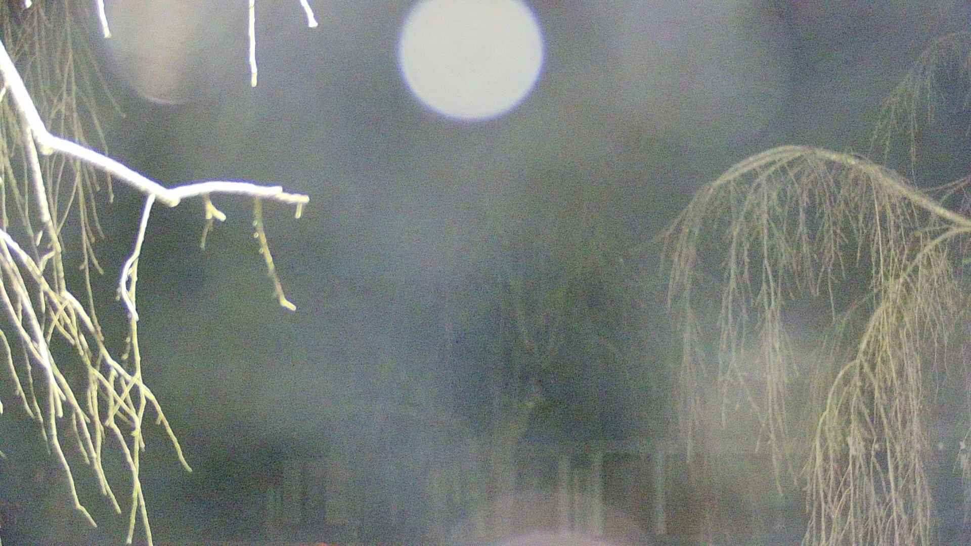 area2-20250413041106.jpg