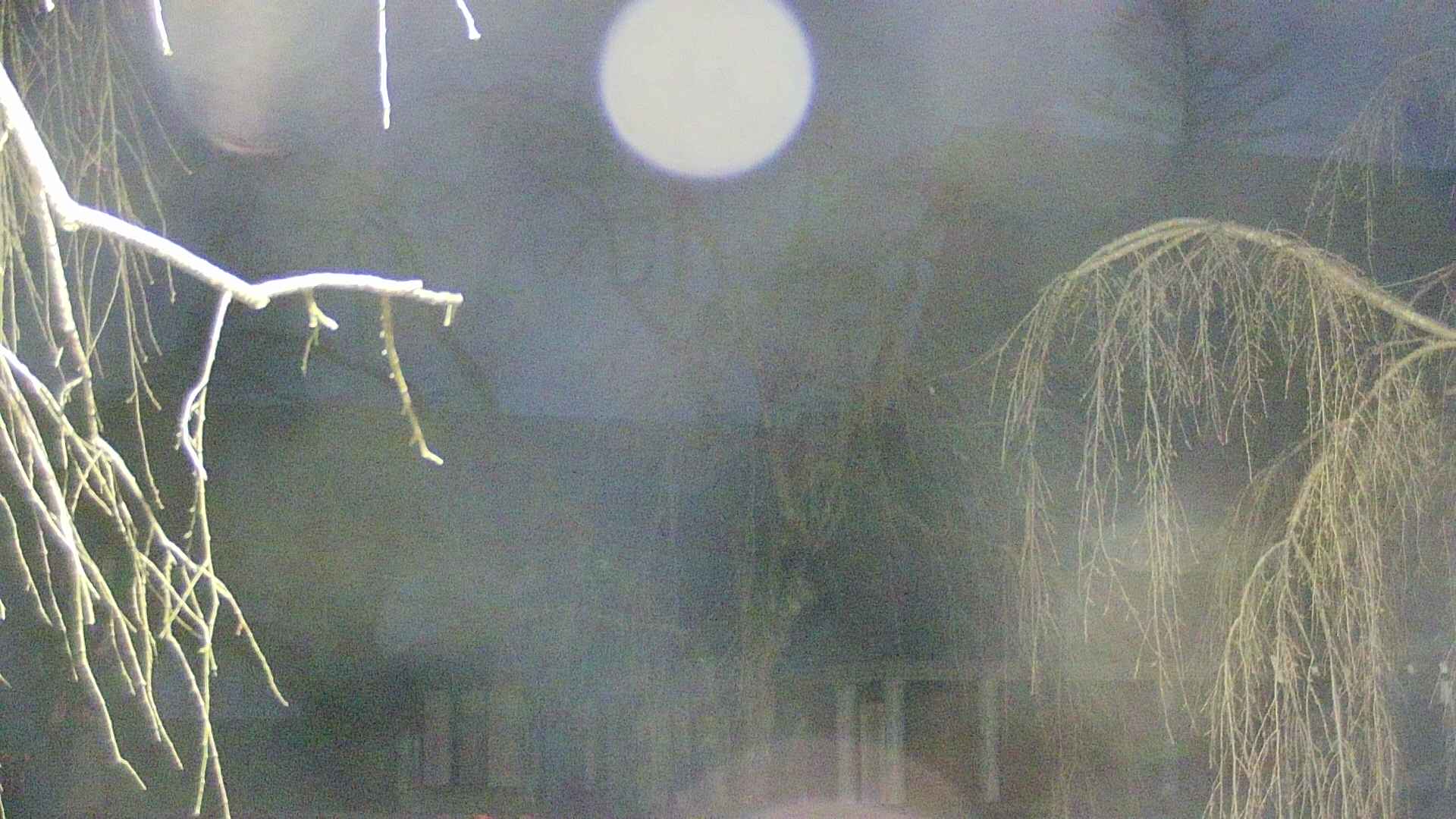 area2-20250413042107.jpg