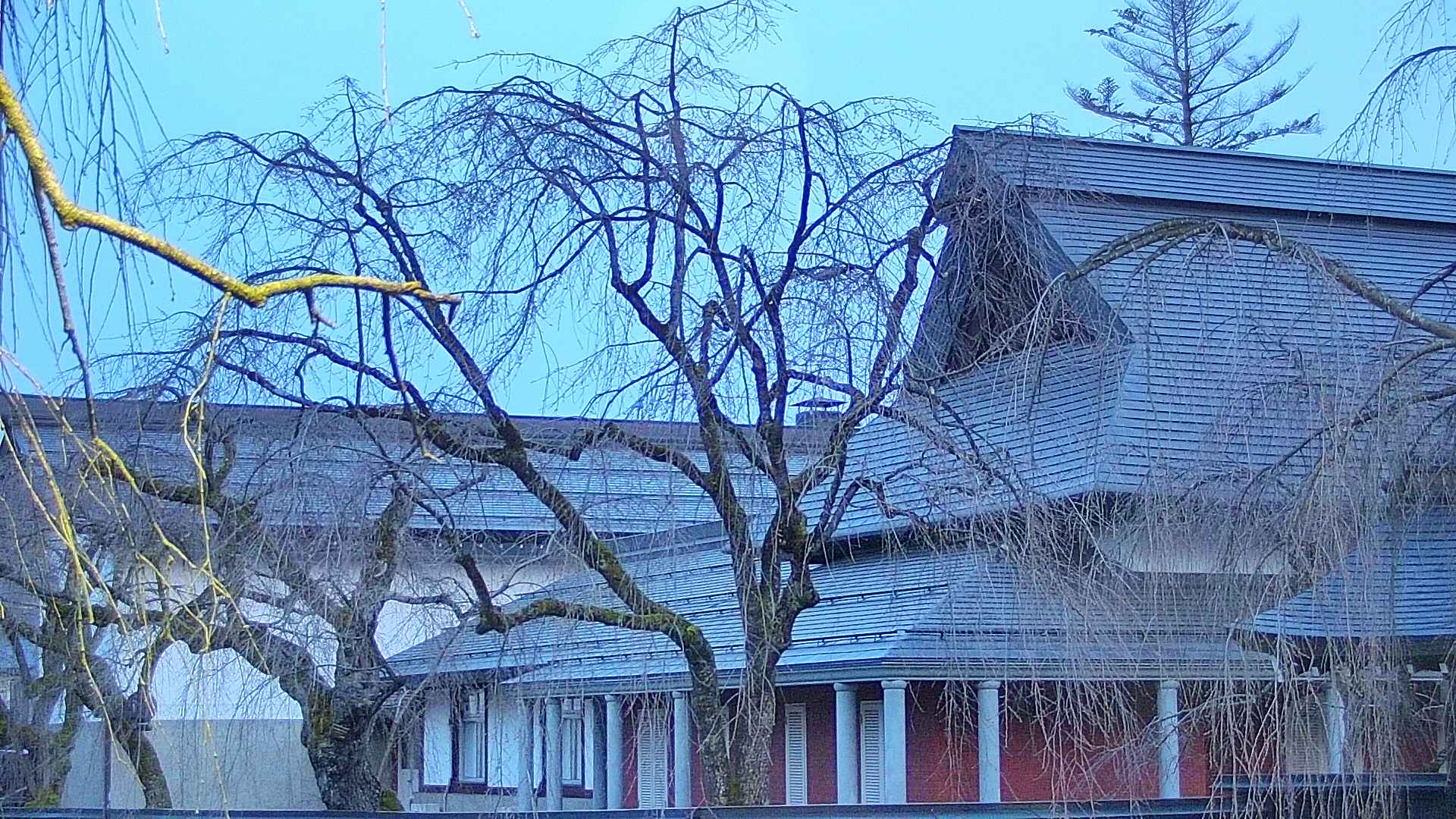 area2-20250413045106.jpg
