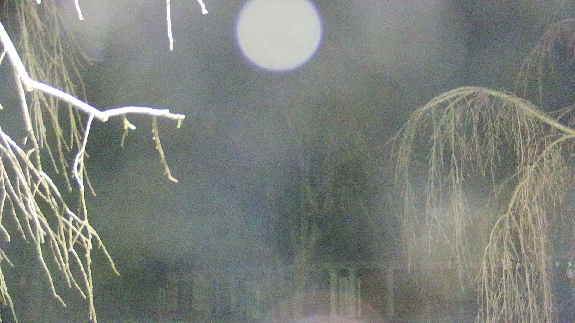 area2-20250413211106.jpg