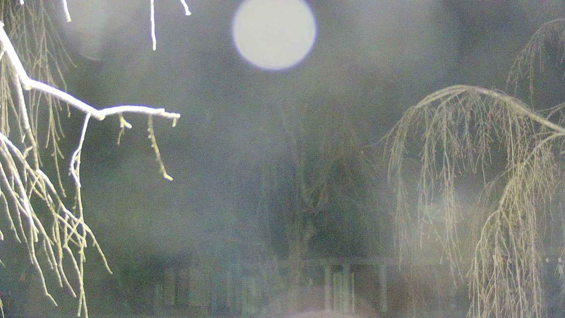 area2-20250413212105.jpg