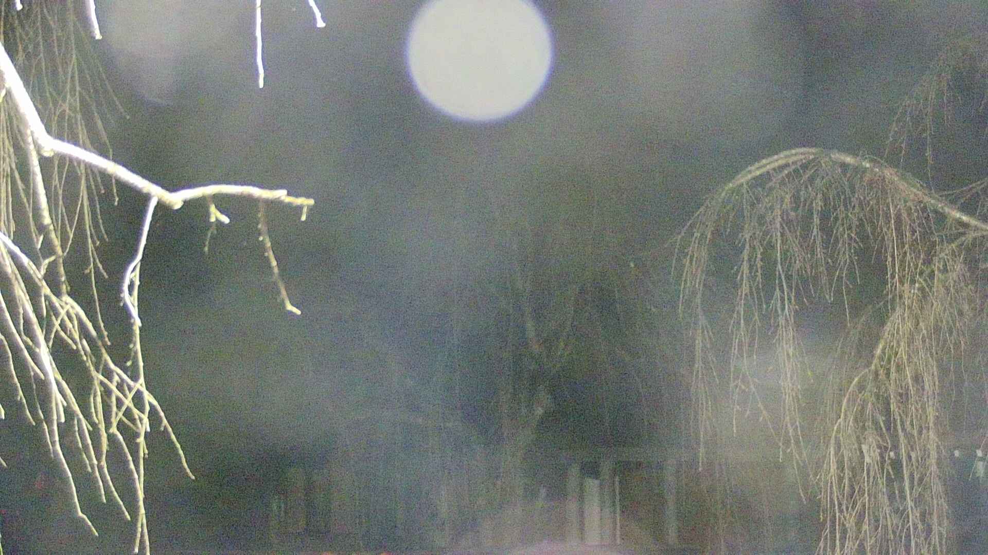 area2-20250414012107.jpg