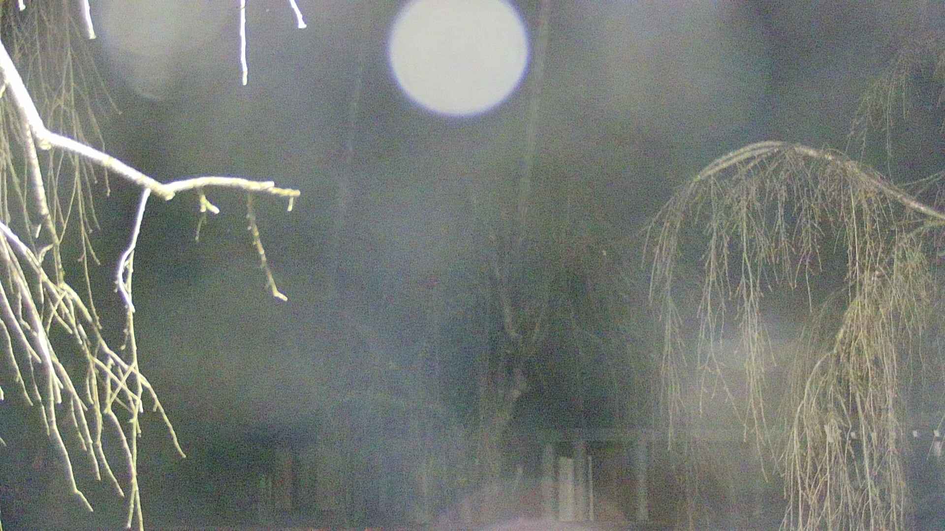 area2-20250414013108.jpg