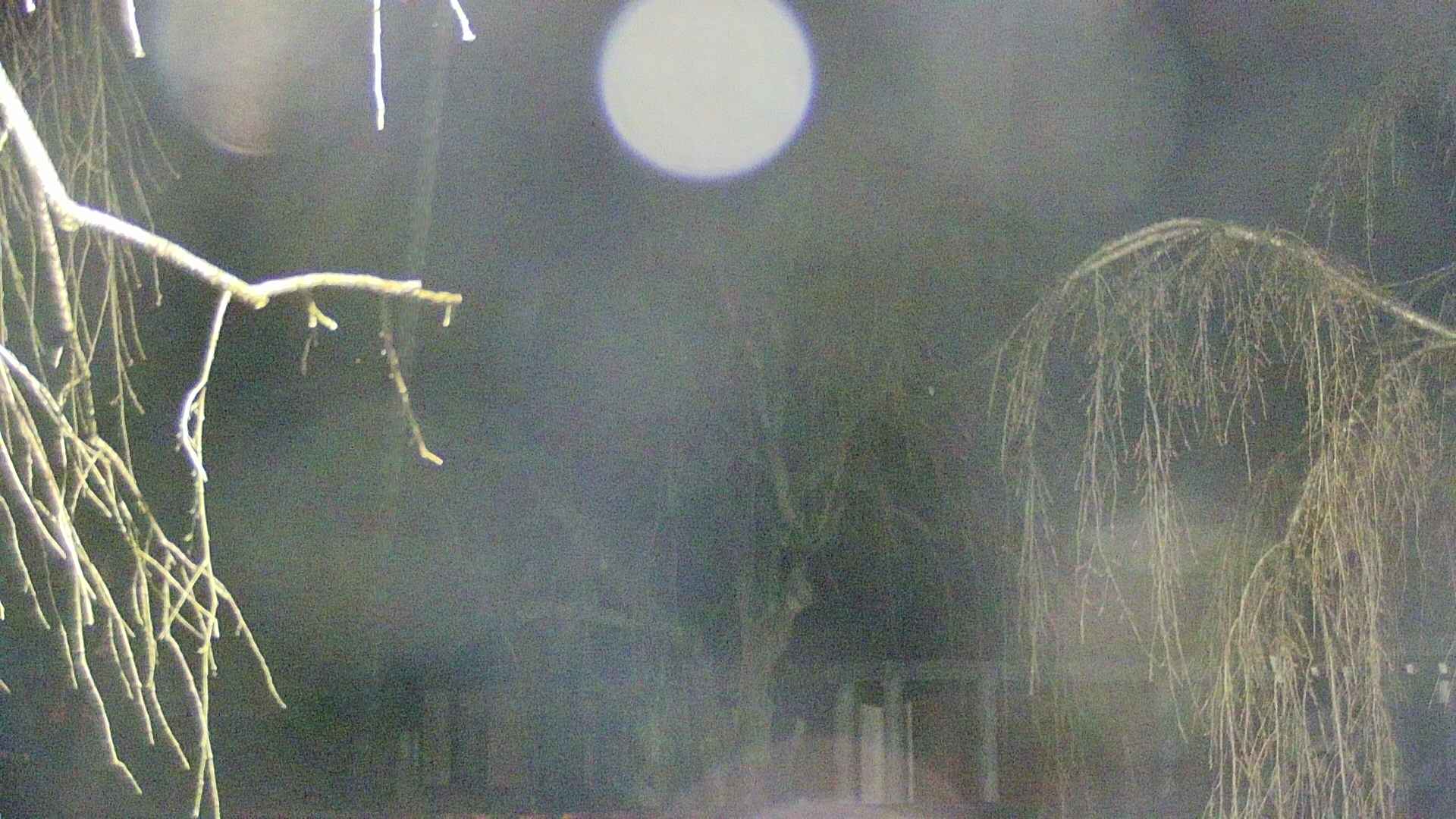 area2-20250414021105.jpg