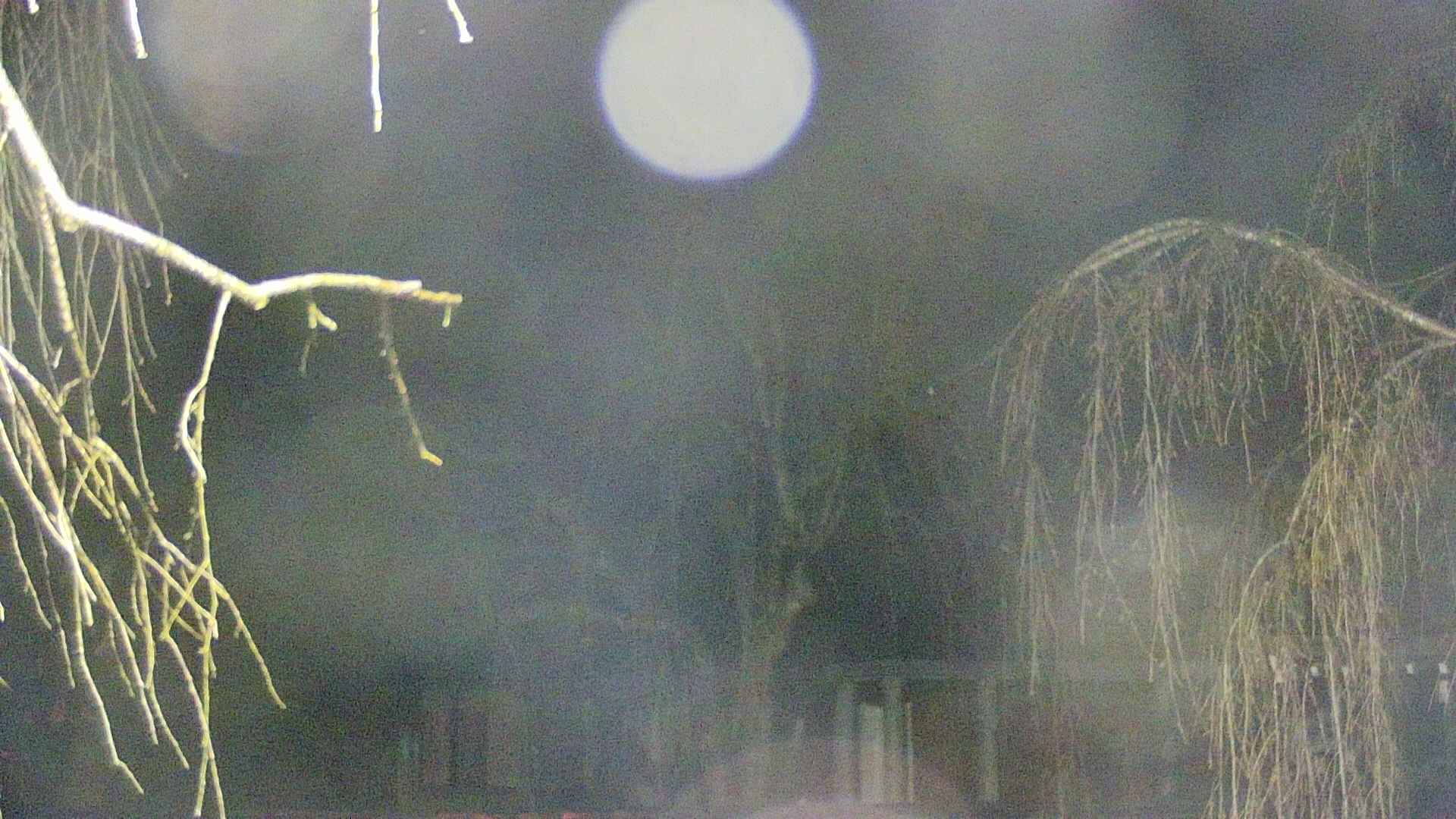 area2-20250414035106.jpg