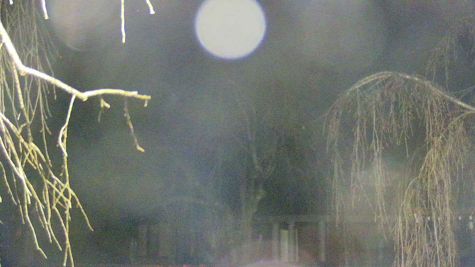 area2-20250414040106.jpg