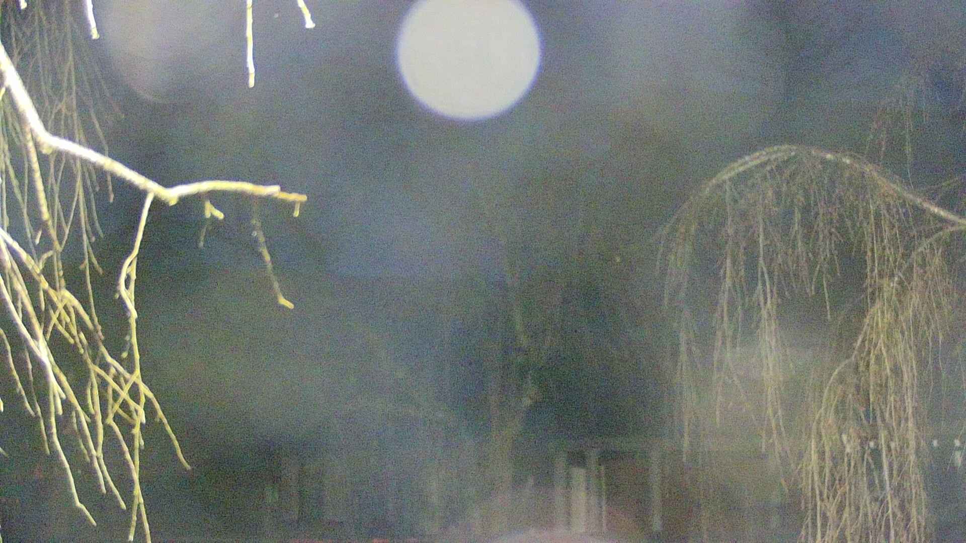 area2-20250414042107.jpg