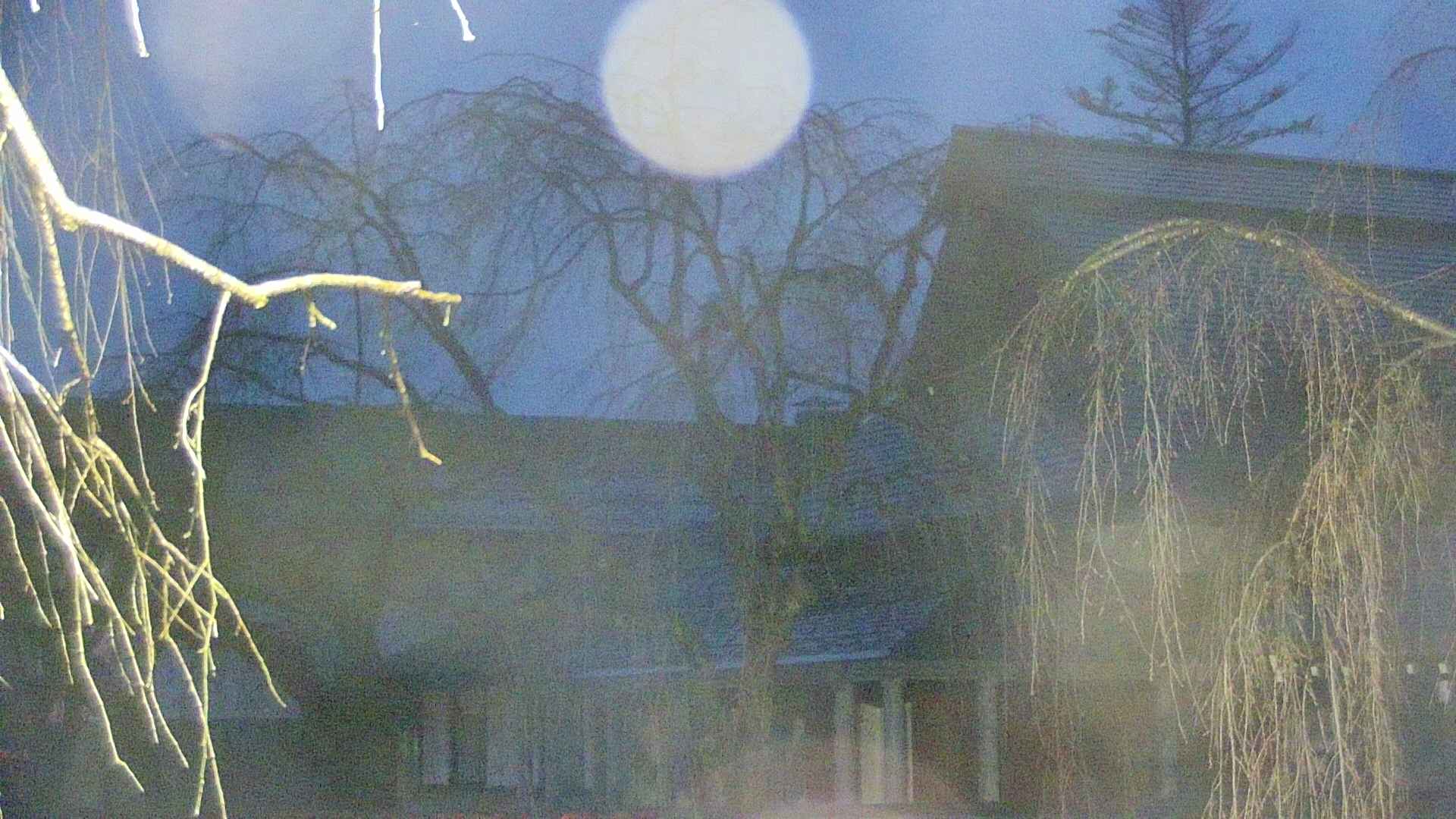 area2-20250414043106.jpg