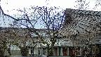 area2-20250414161107.jpg