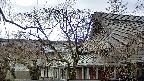 area2-20250414162107.jpg