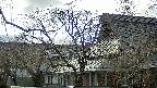 area2-20250414164107.jpg