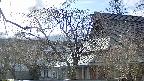 area2-20250414165107.jpg