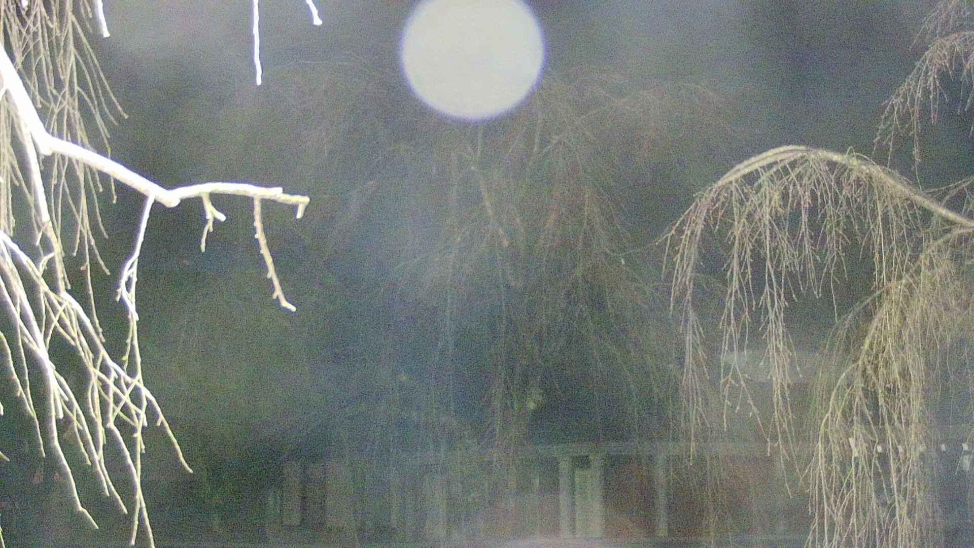 area2-20250414190106.jpg