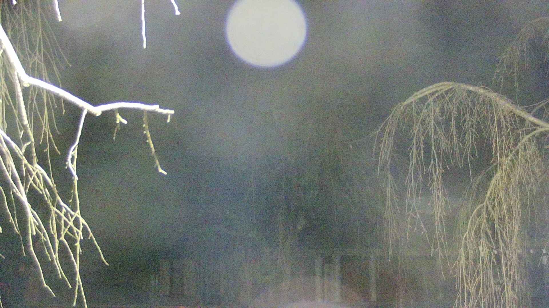 area2-20250415015107.jpg