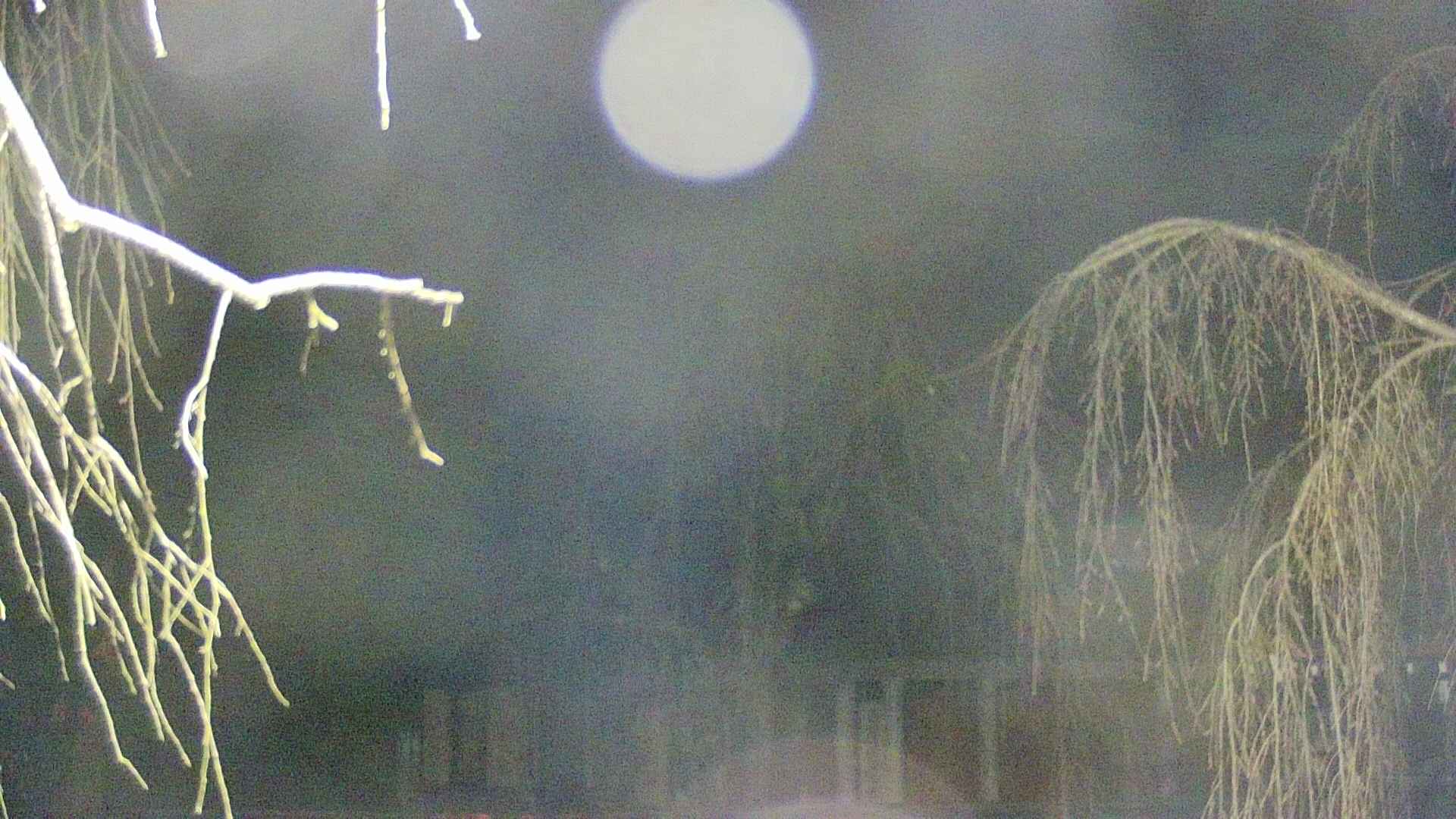 area2-20250415024107.jpg