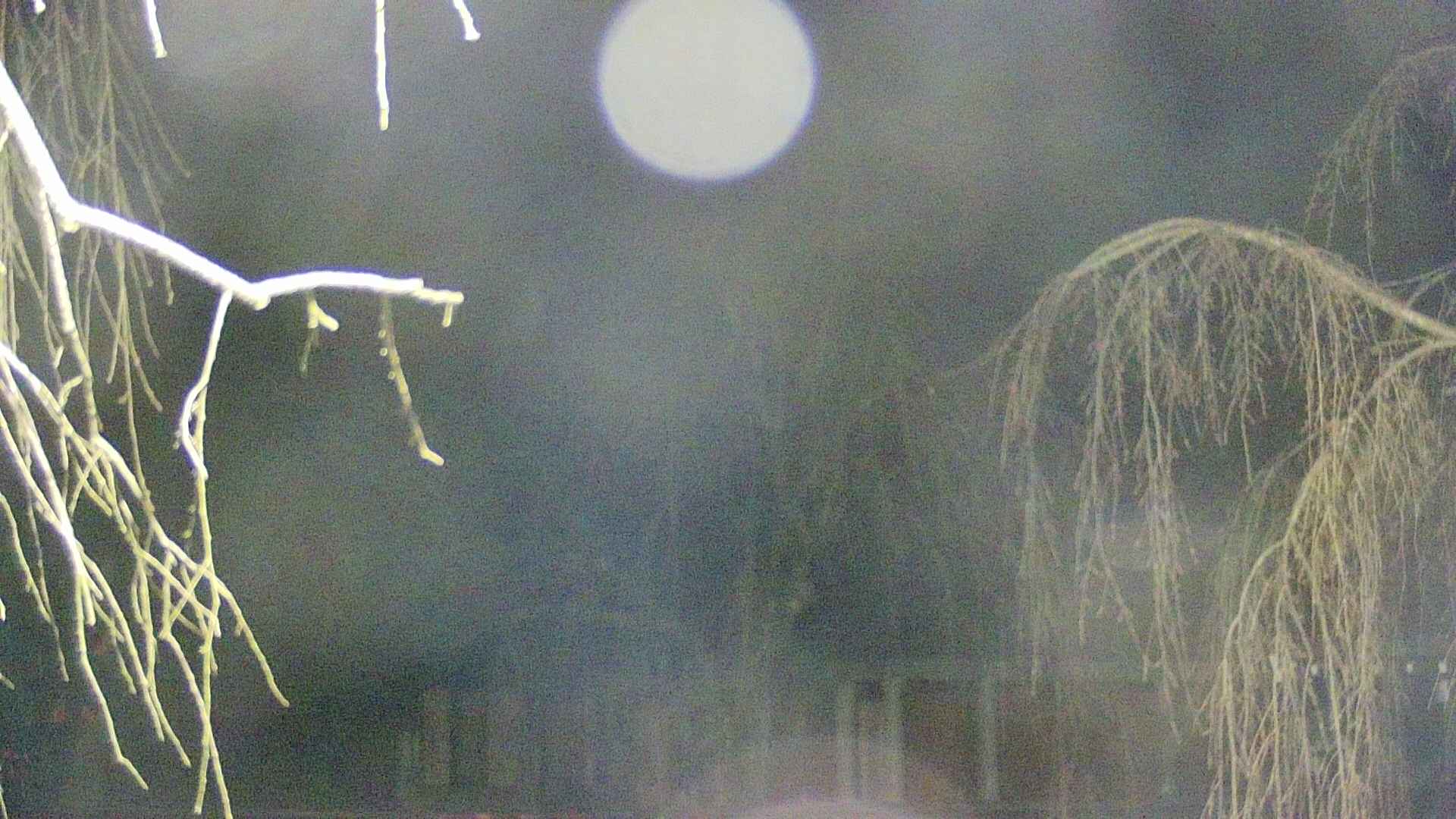 area2-20250415030106.jpg