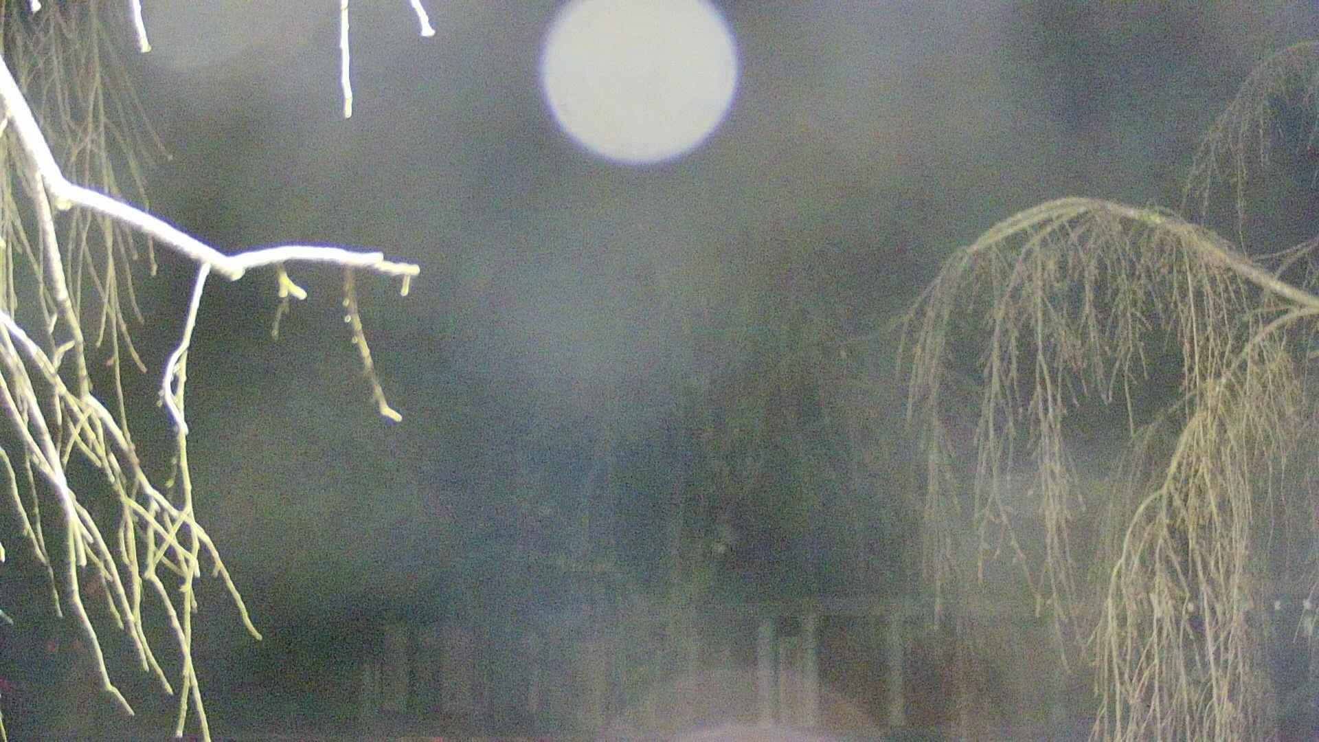 area2-20250415041105.jpg