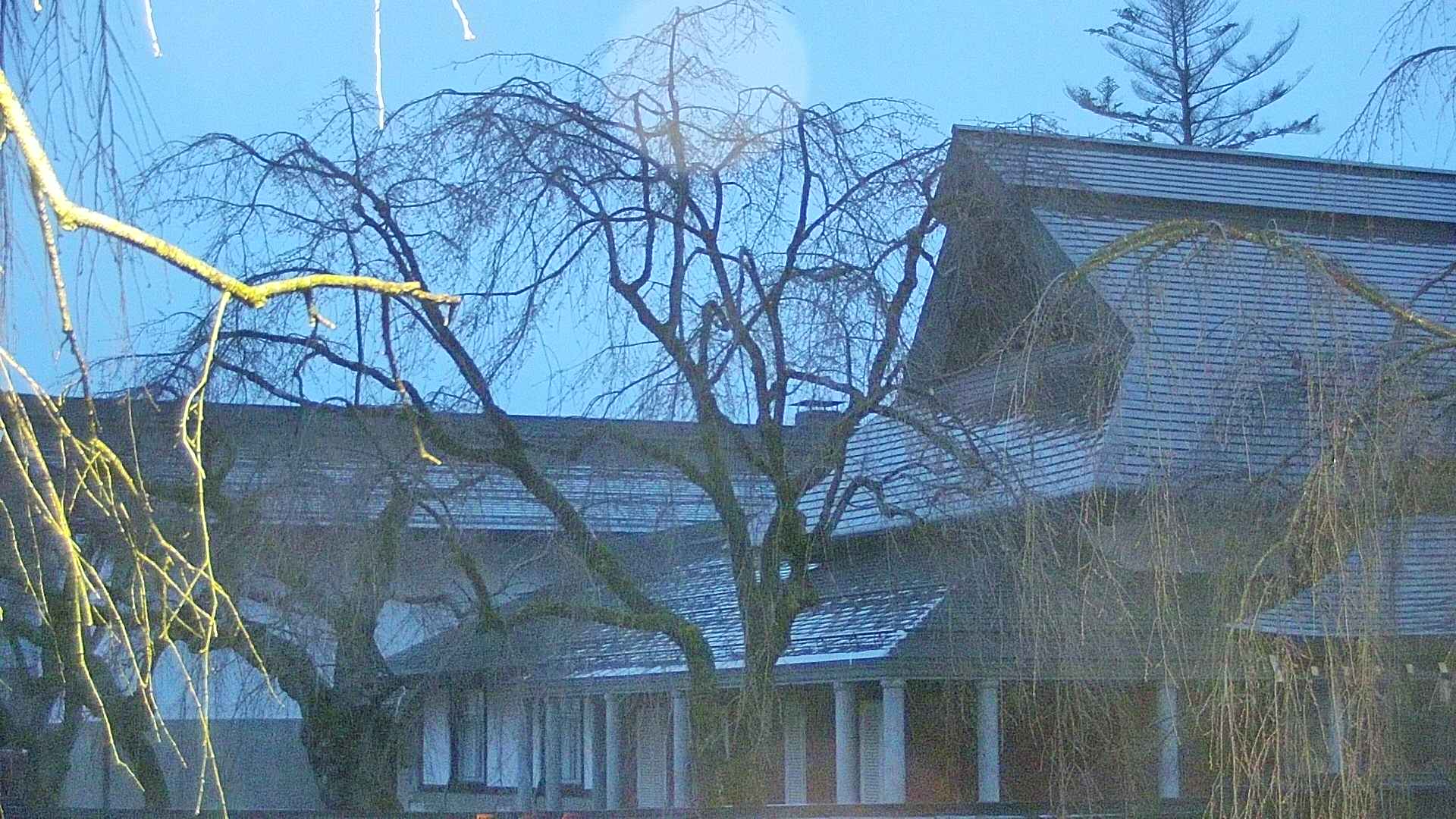 area2-20250415045107.jpg