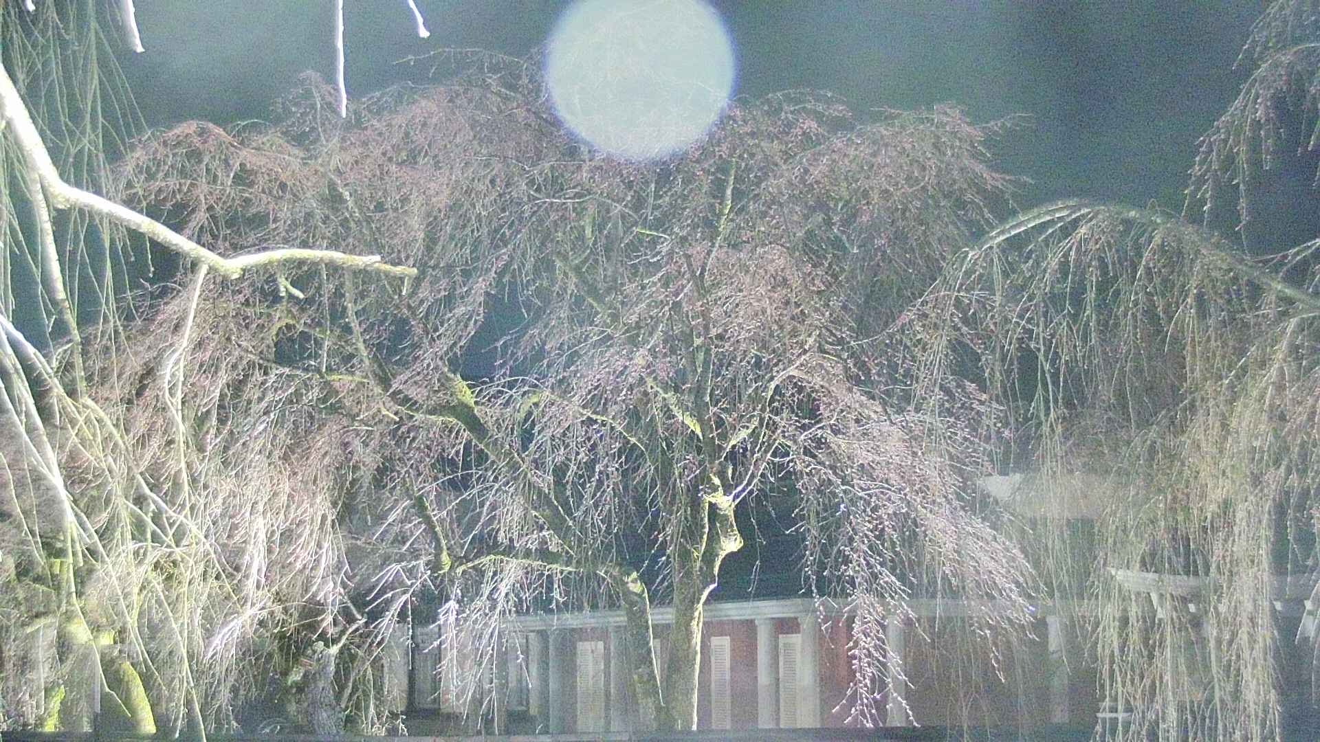area2-20250415192109.jpg