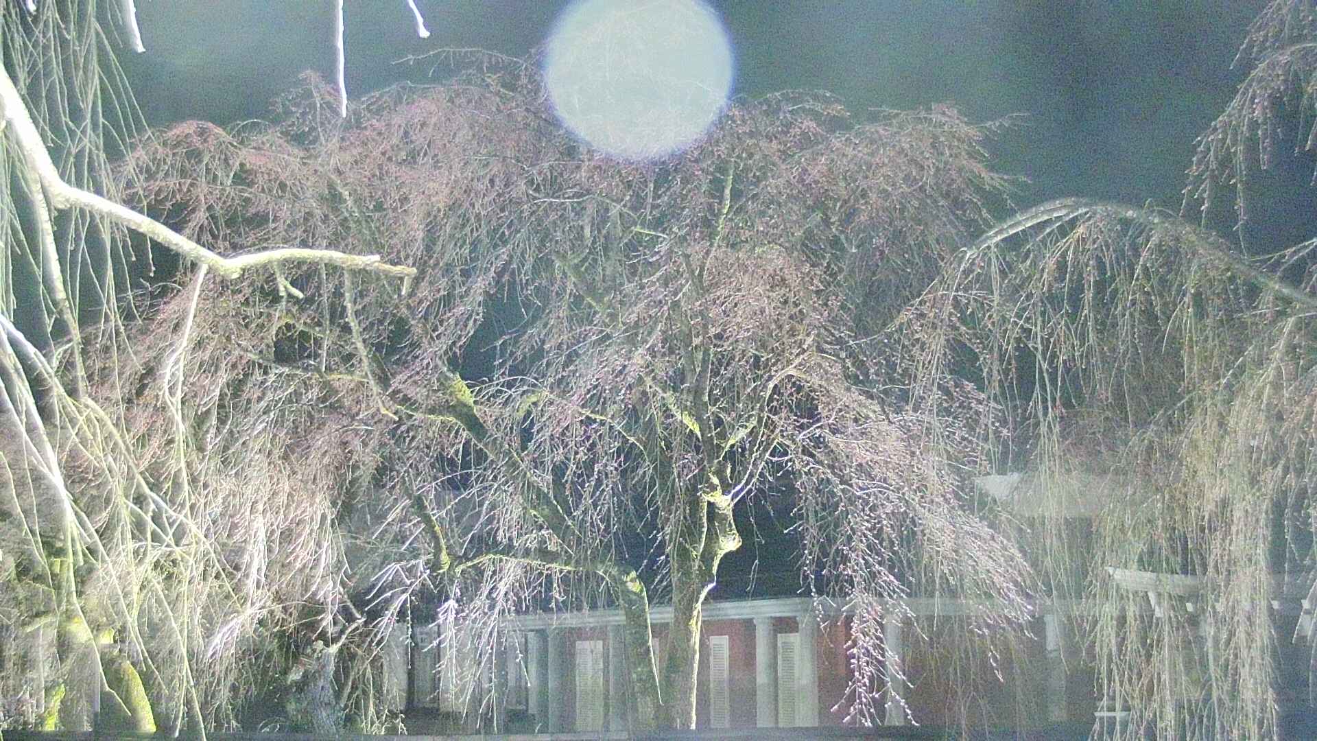area2-20250415212107.jpg