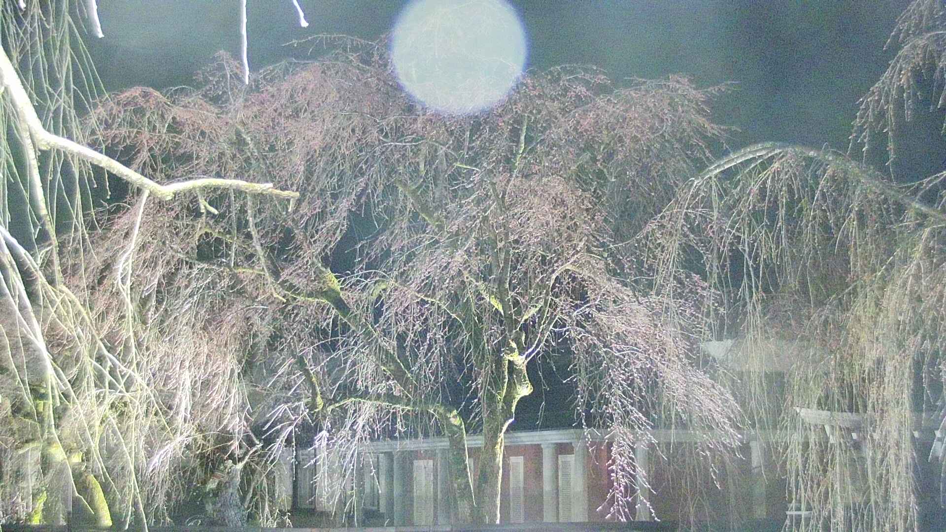 area2-20250415214106.jpg