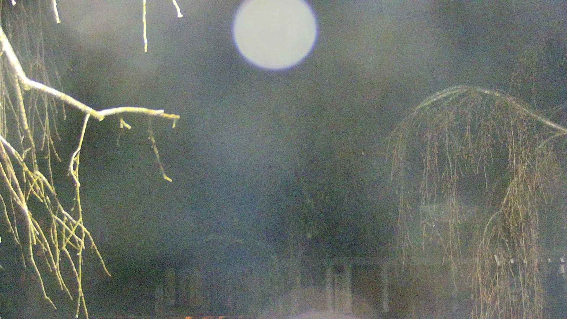 area2-20250416012107.jpg