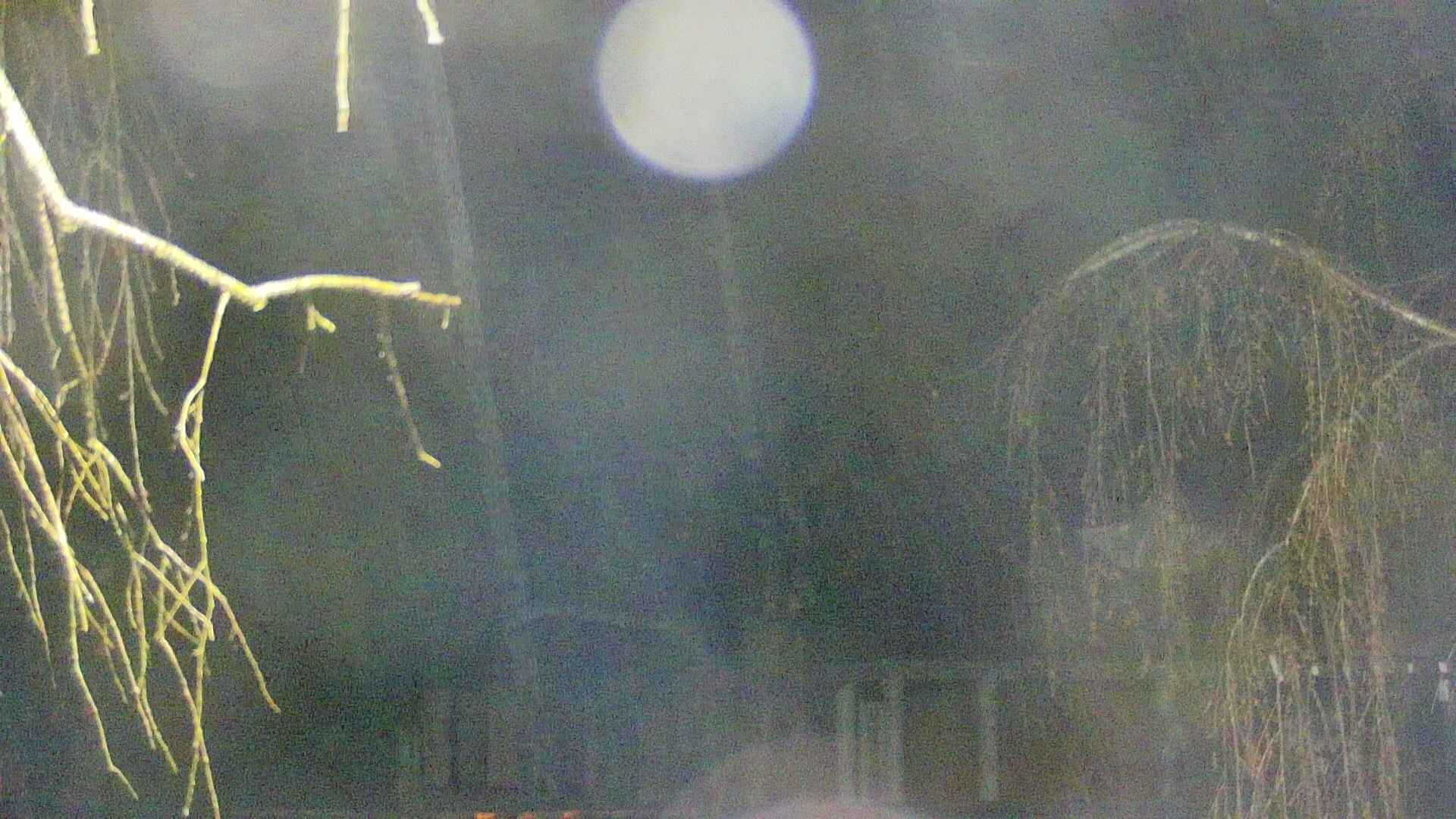 area2-20250416013106.jpg