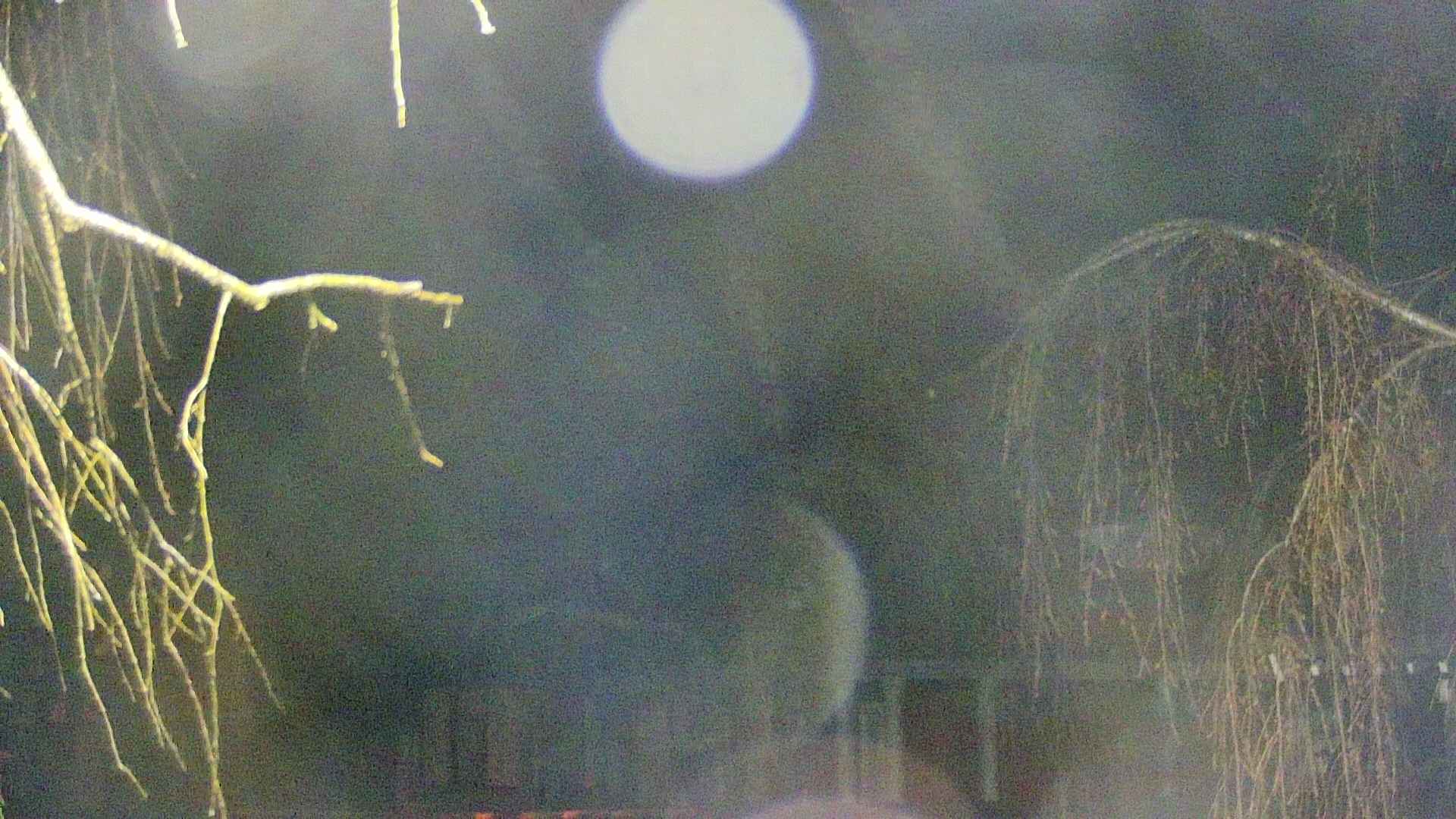 area2-20250416015107.jpg