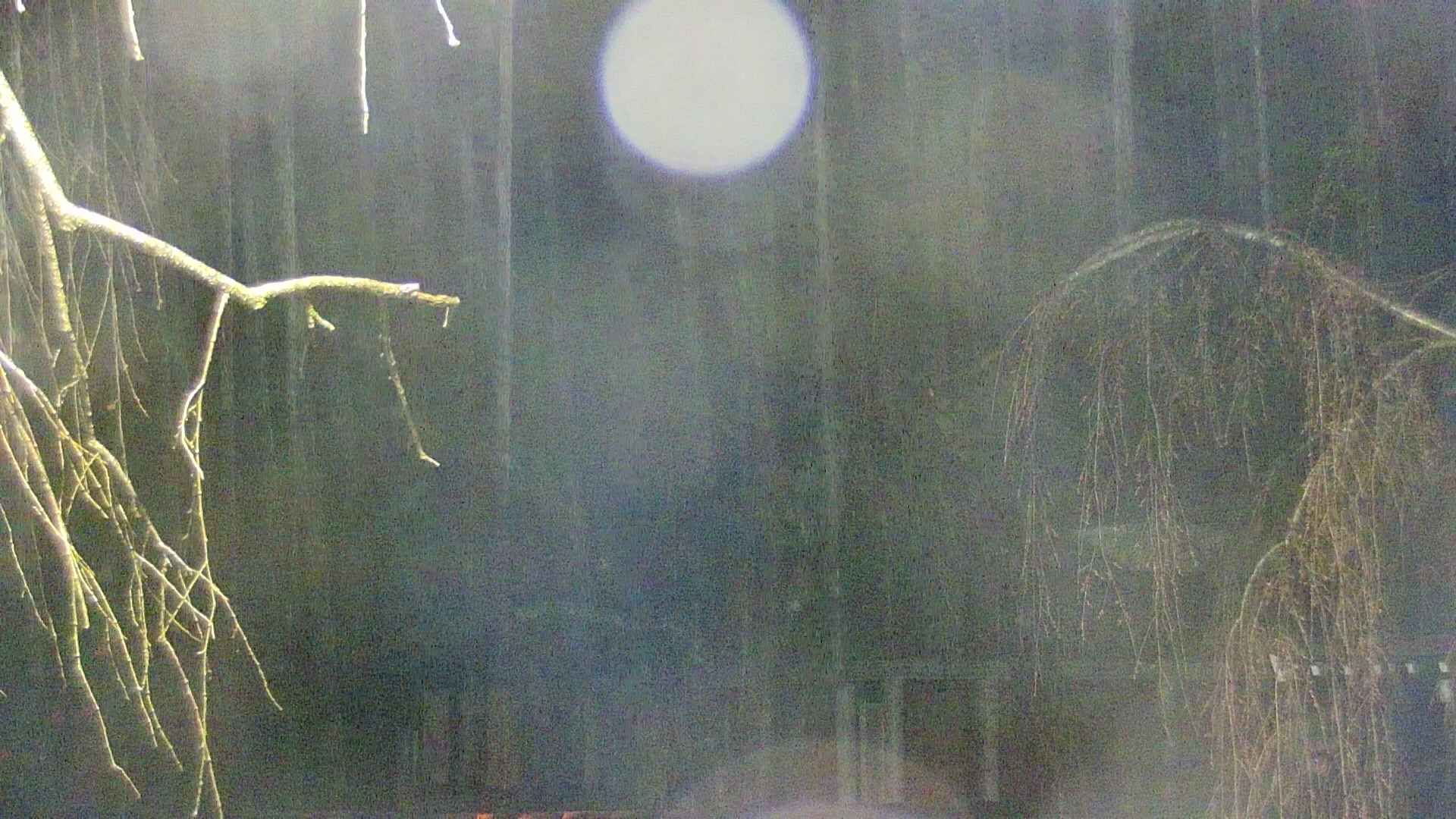 area2-20250416021106.jpg