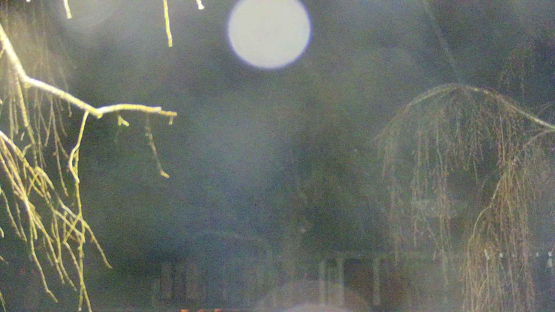 area2-20250416023107.jpg