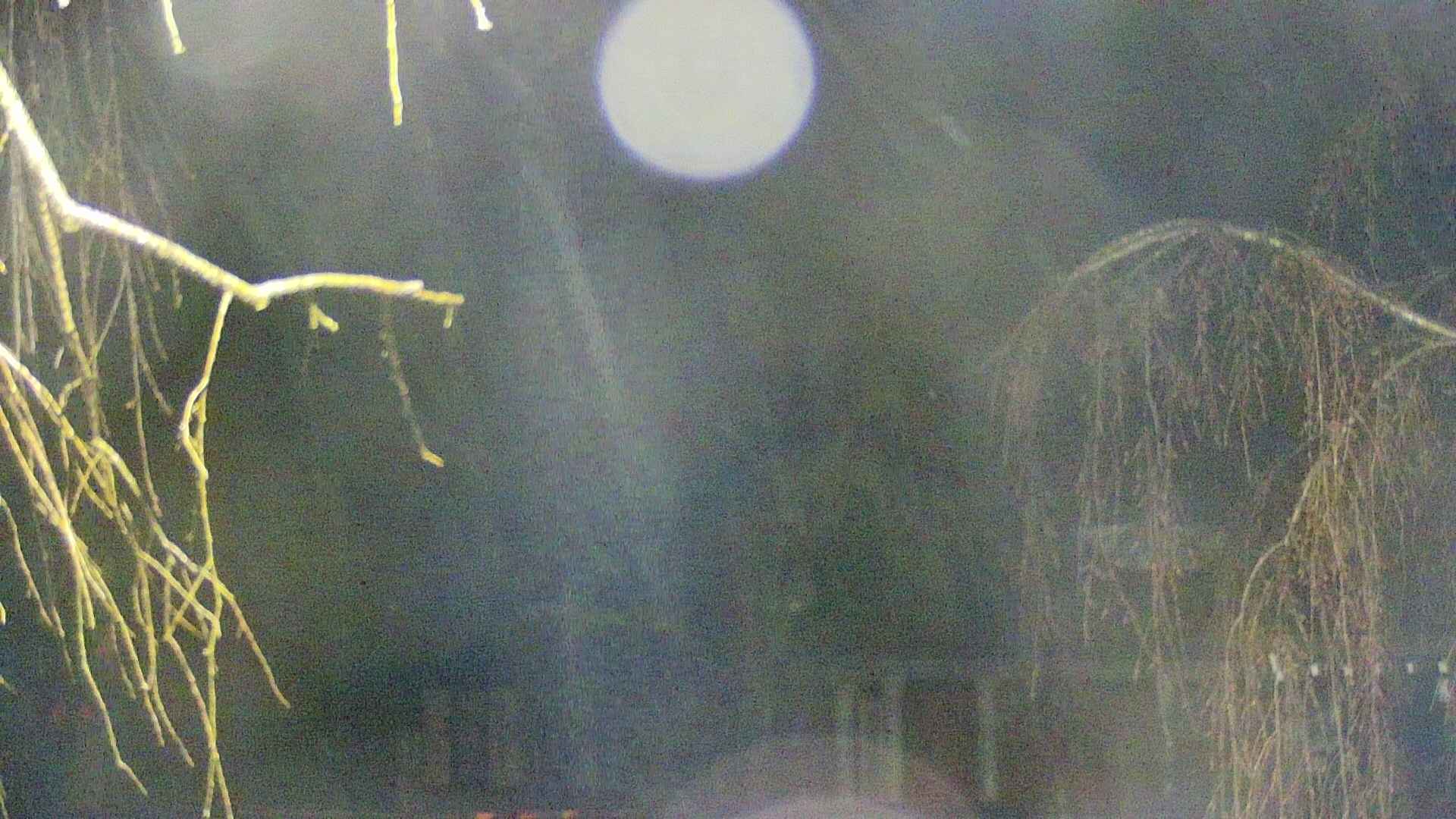 area2-20250416025104.jpg