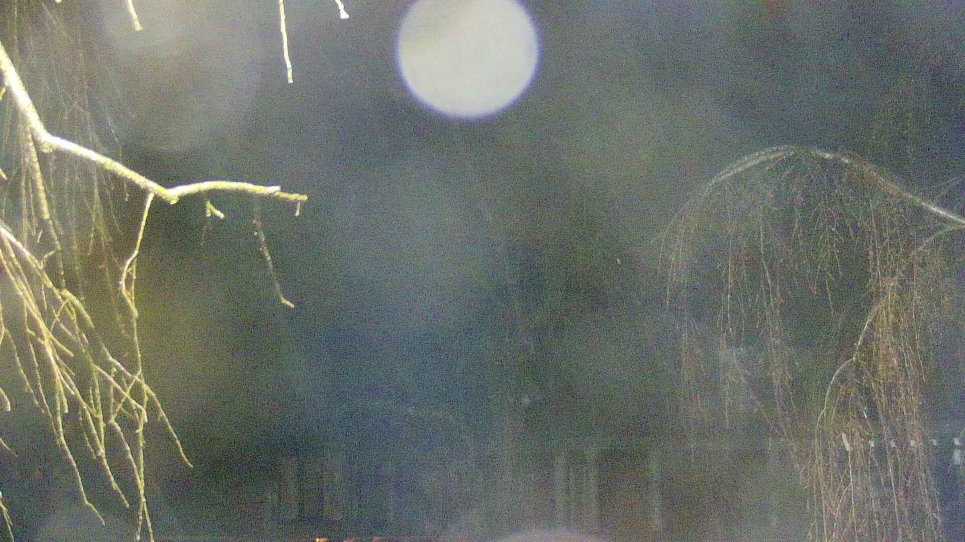 area2-20250416030107.jpg