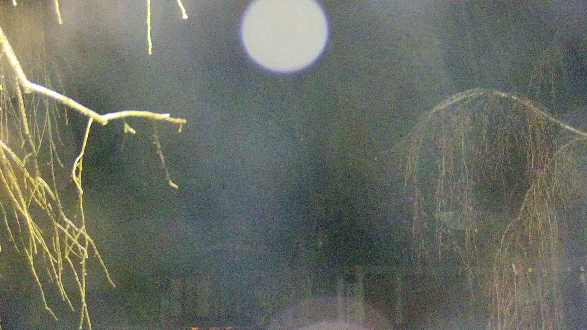 area2-20250416033106.jpg