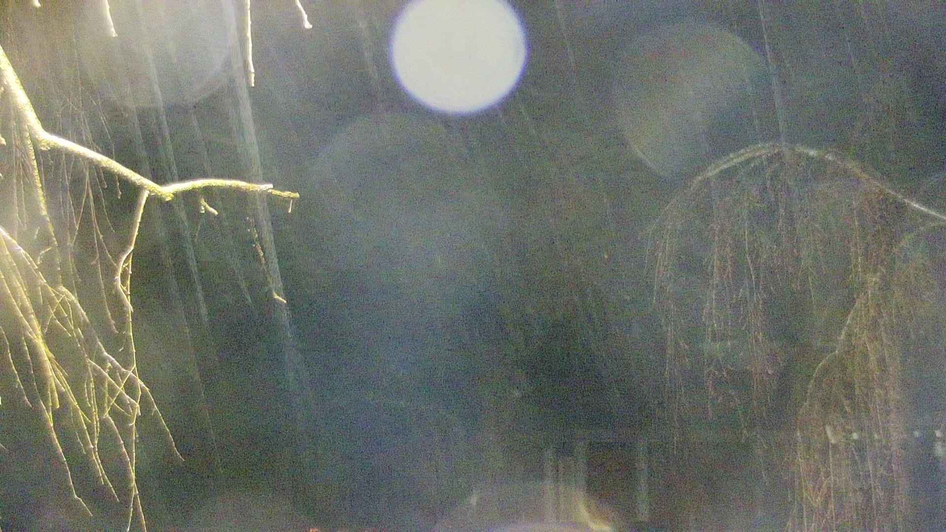 area2-20250416040106.jpg