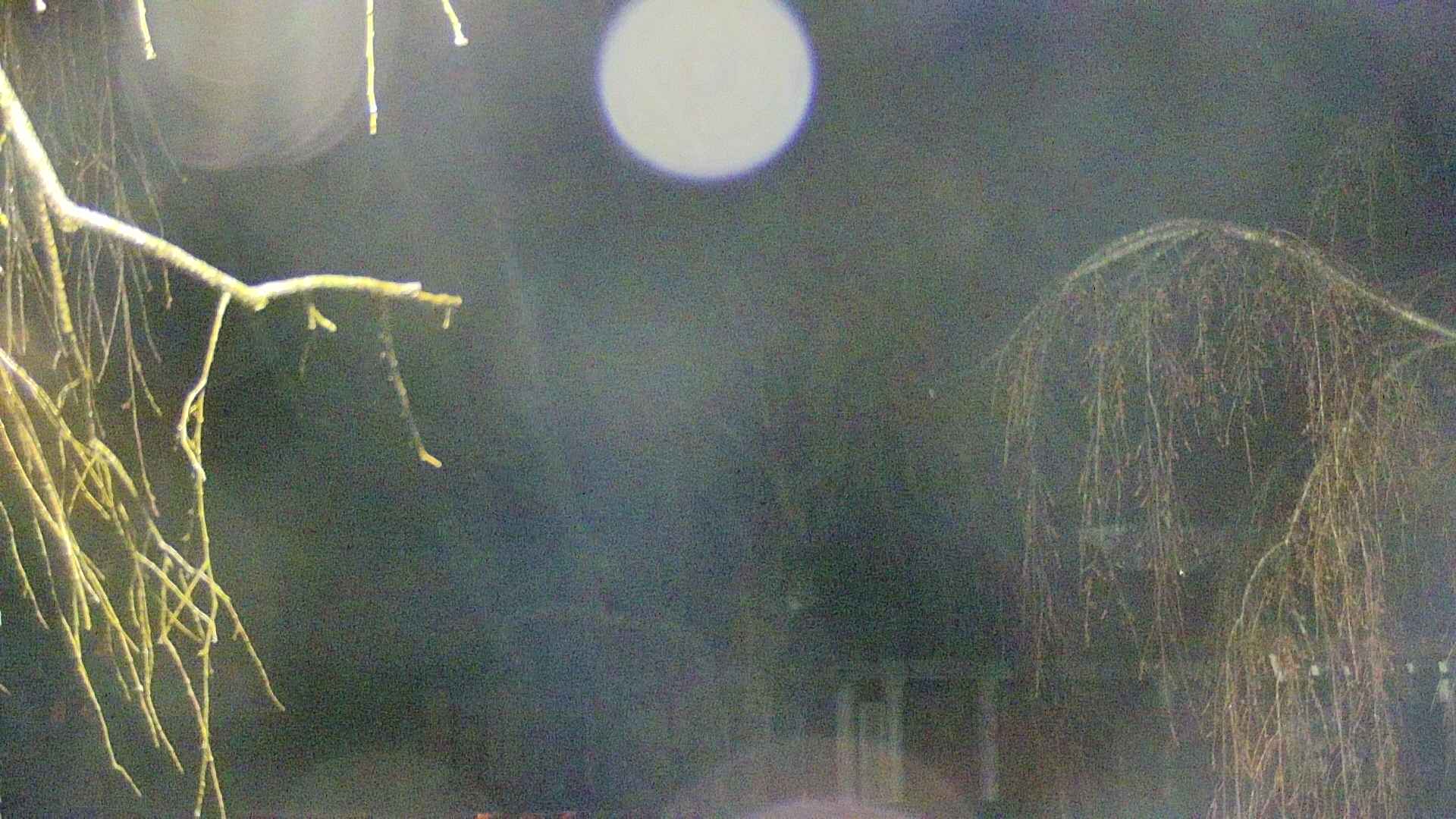 area2-20250416041105.jpg