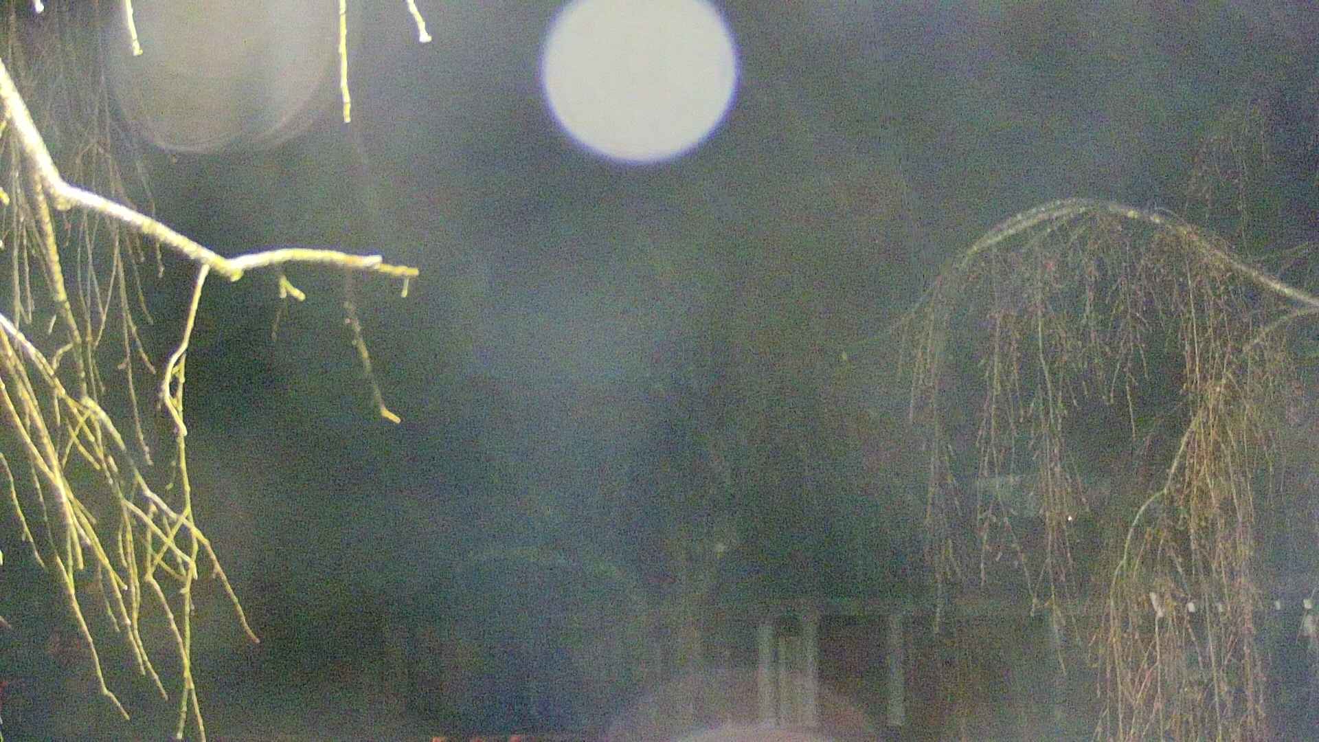 area2-20250416042107.jpg