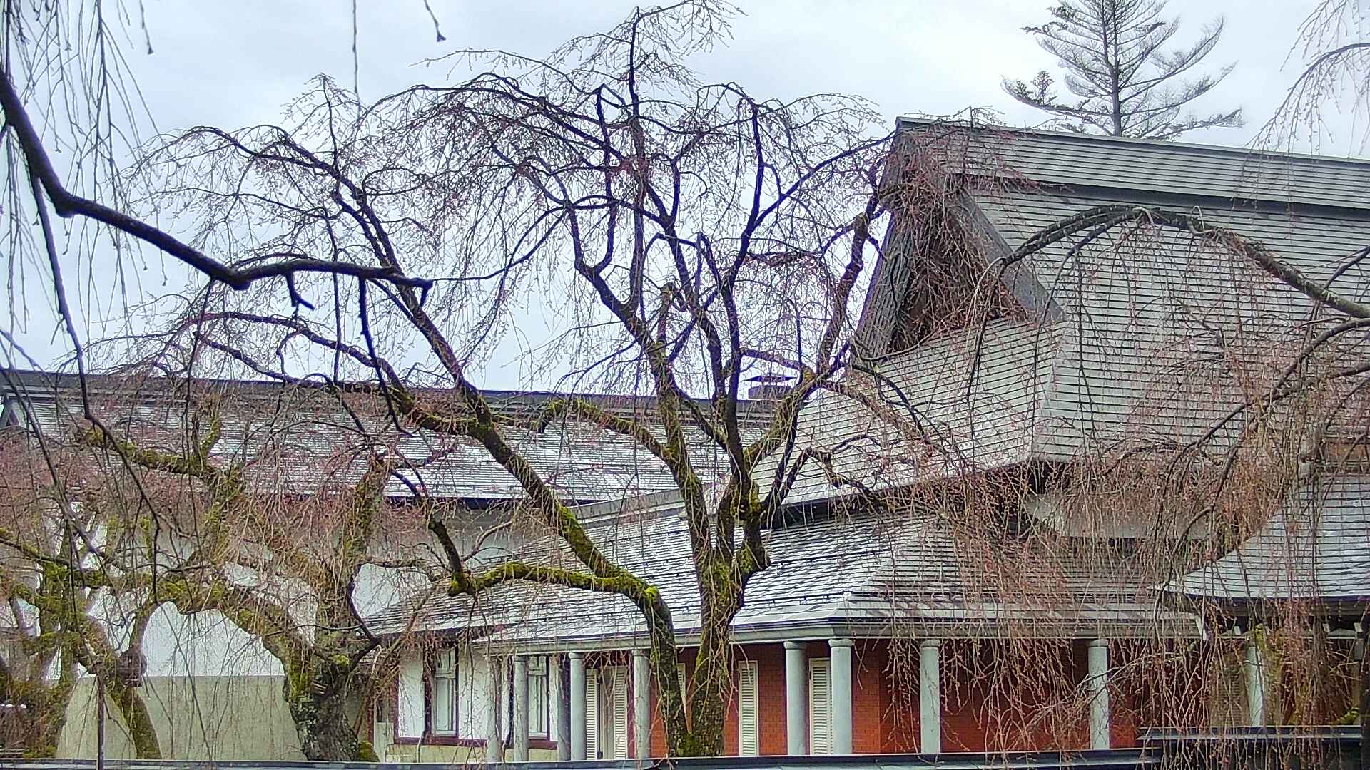 area2-20250416061107.jpg