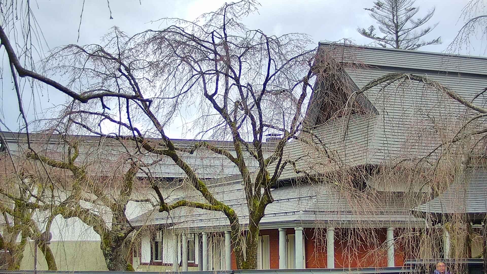 area2-20250416093107.jpg